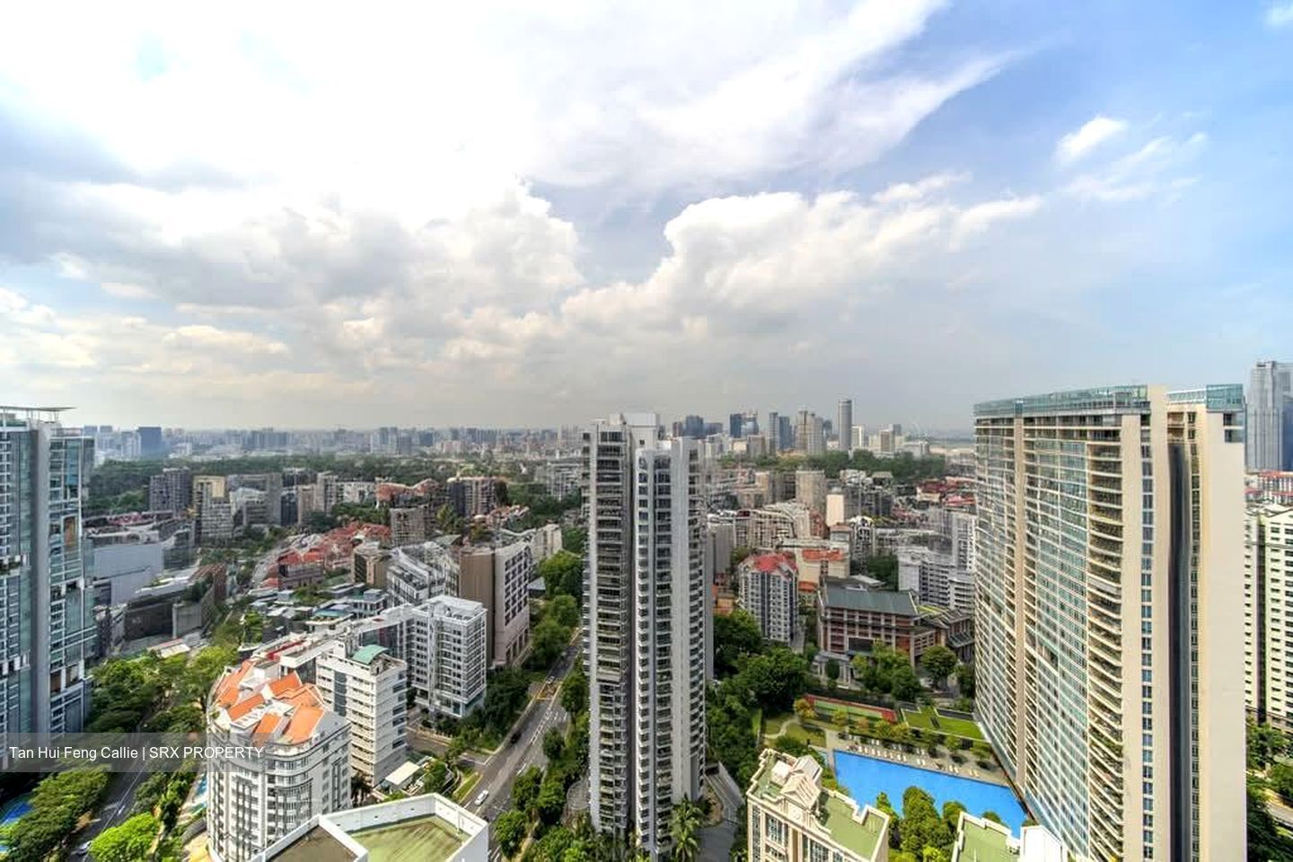 The Avenir (D9), Condominium #555876201